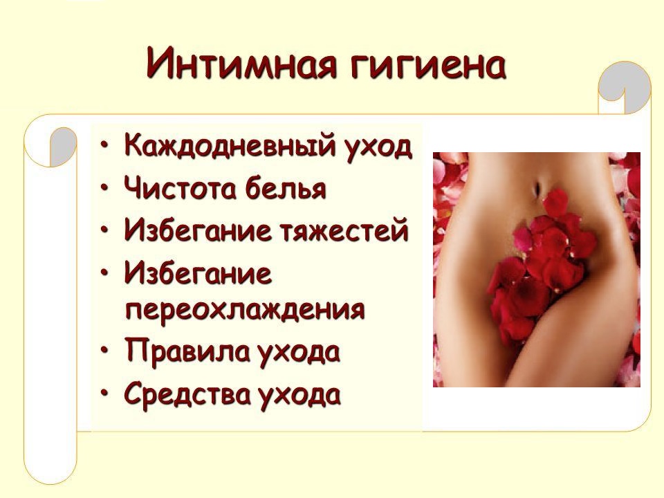 Купить товары для интимного ухода в интернет-магазине shikkra.ru